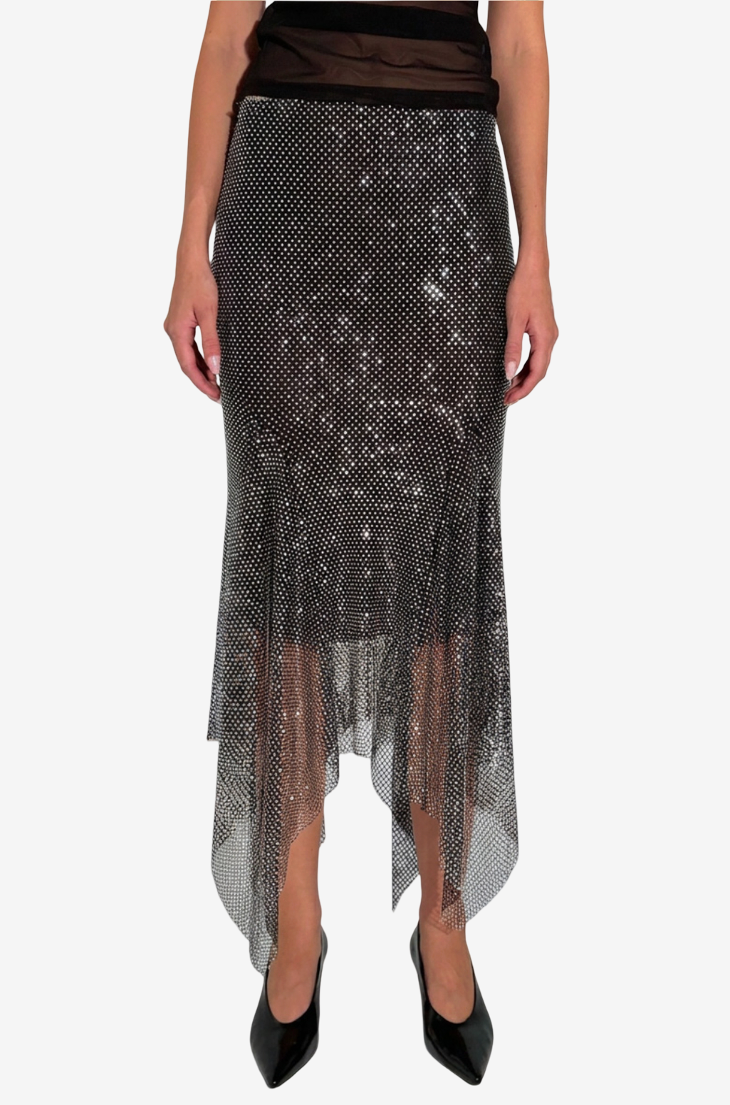 Embellished Net Skirt with Interior Lining