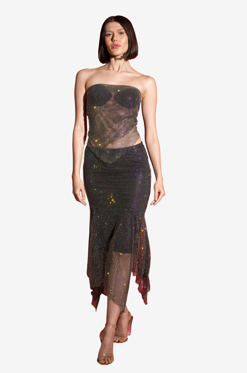 Embellished Net Skirt with Interior Lining