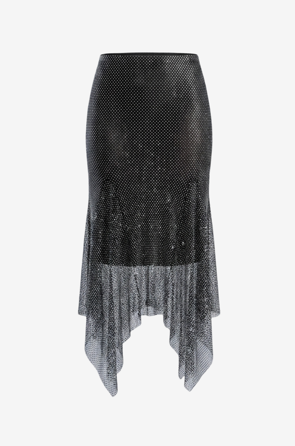 Embellished Net Skirt with Interior Lining