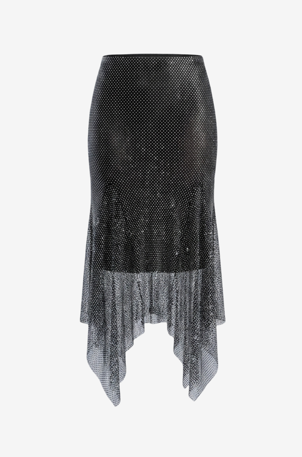 Embellished Net Skirt with Interior Lining