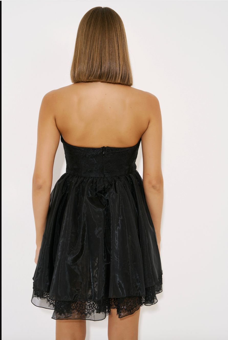 Tube Mini Dress with Organza Skirt