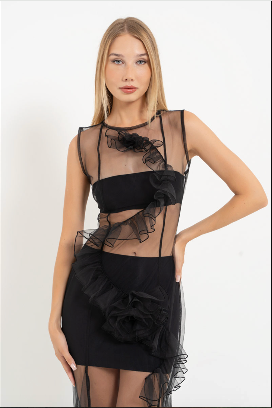Sleeveless Mesh Maxi Dress