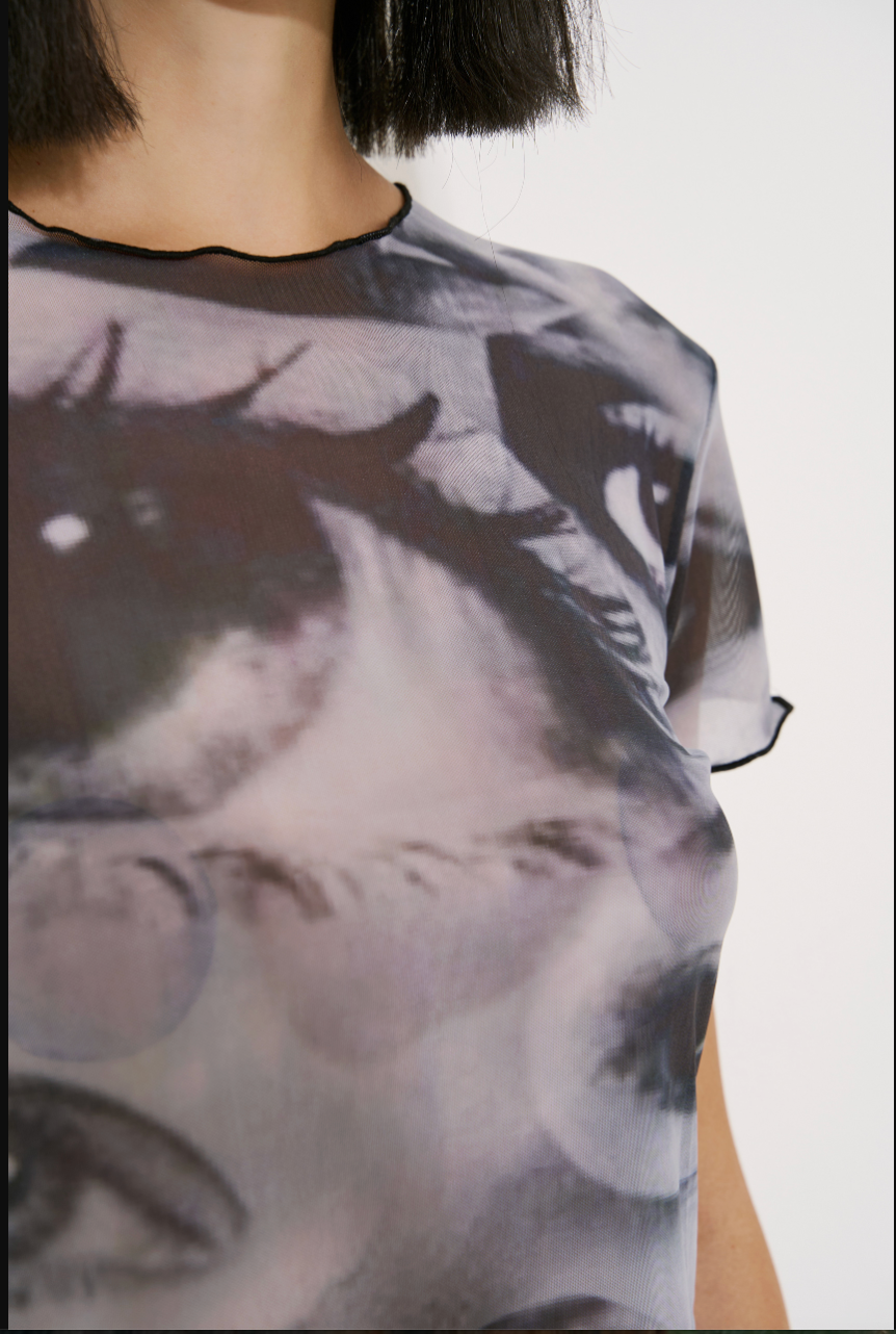 Printed Sheer Mesh Crop Top